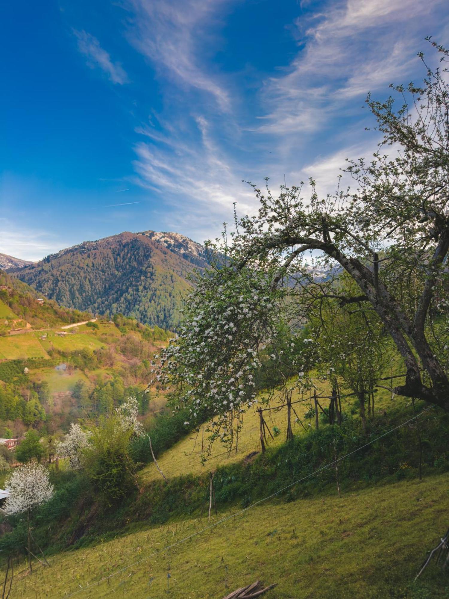 Eco Cottage Sunrise Merisi ภายนอก รูปภาพ